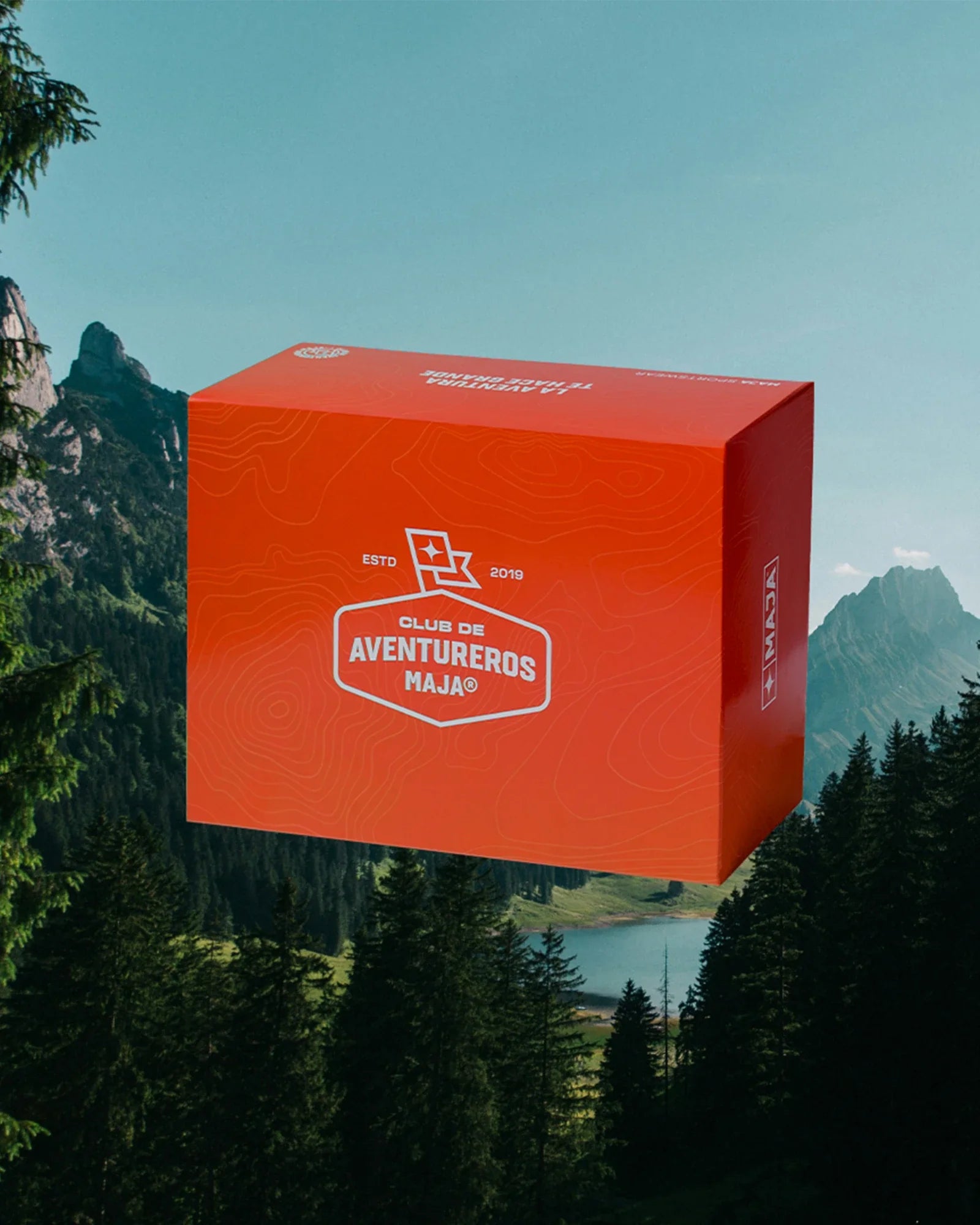 🎁 Bosque (100% off)
